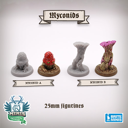 Photo des figurines