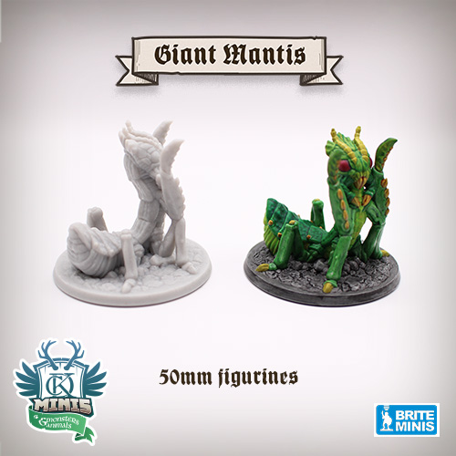 Photo of figurines