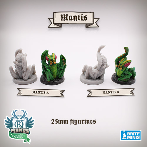 Photo of figurines